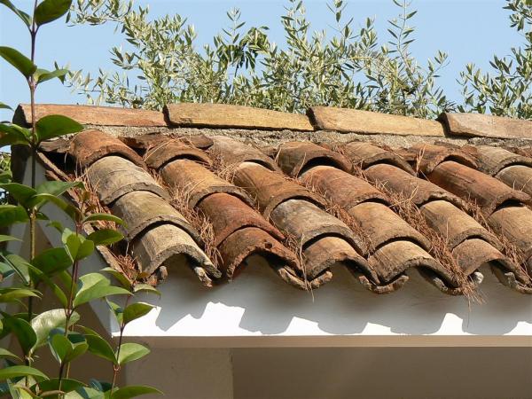 8c99m1e8c3ari8sg0cyc 341210